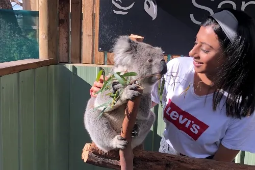 Kajol holding a koala bear .