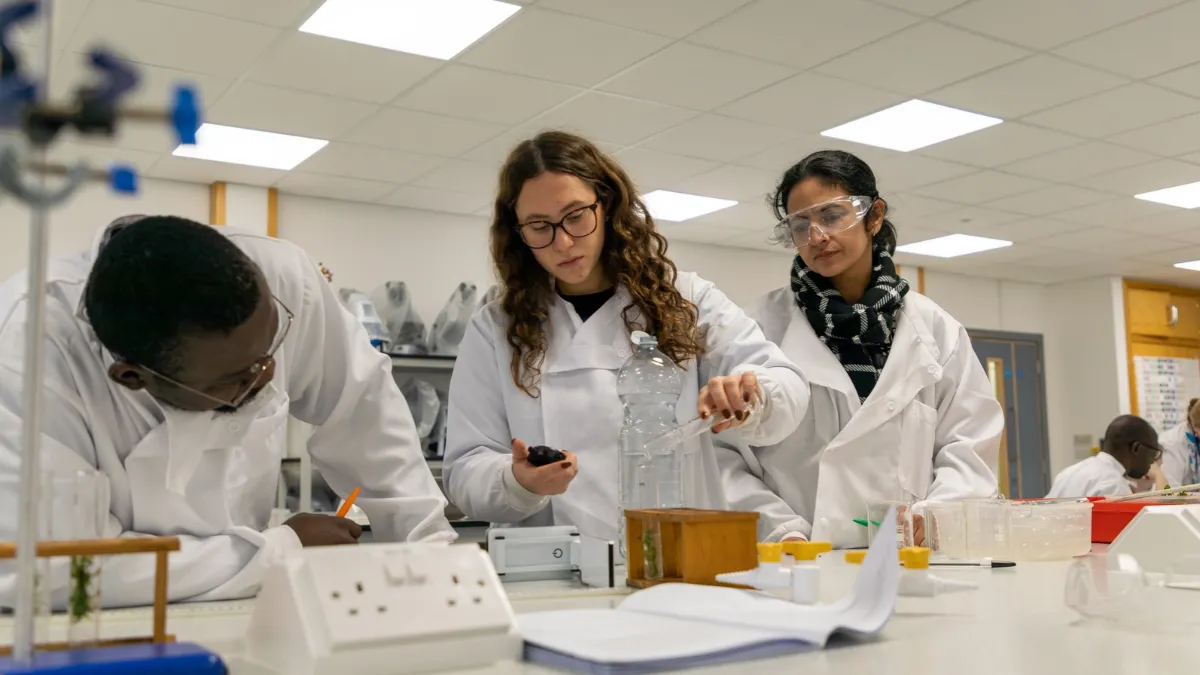 Urgent reinvestment in science education research needed to prepare children for complex future, experts warn