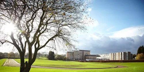 Tree, grass, blue skies, clouds, campus buildings