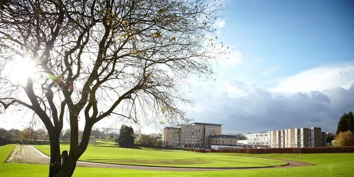 Tree, grass, blue skies, clouds, campus buildings