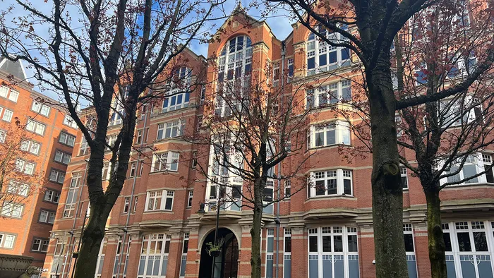 Four trees in front of the Leeds Trinity University City Campus front entrance