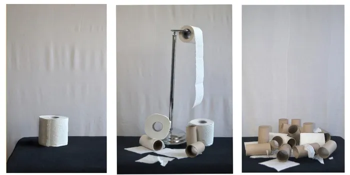 three images of toilets rolls 
