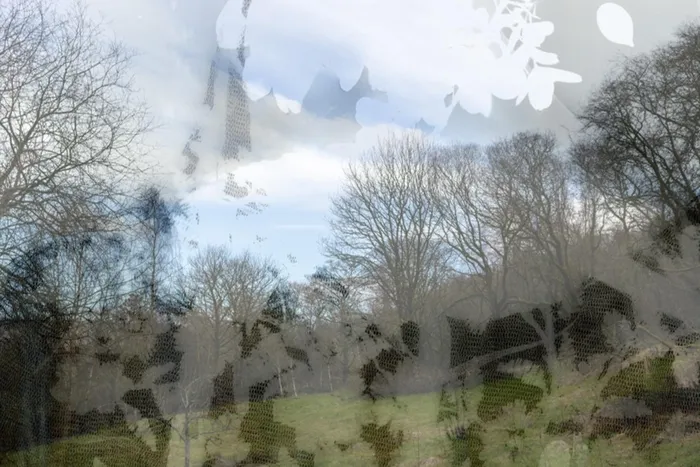 Photography by student, Ellie Harris.