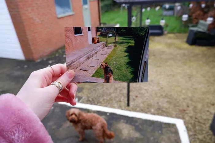 Photography by student, Hannah Dodds.